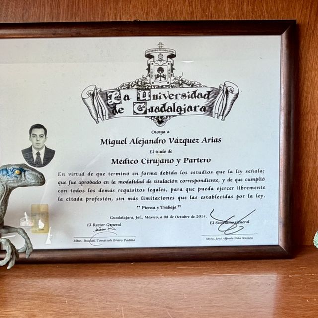 Ampliar imagen: certificate 4