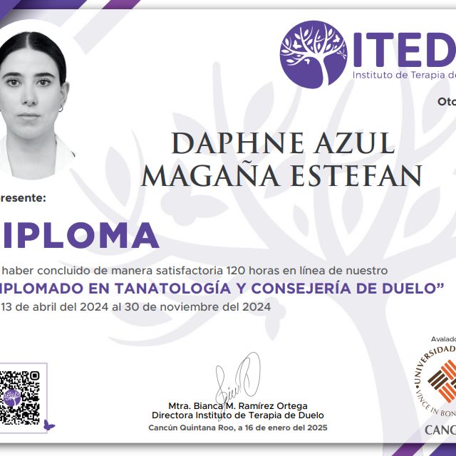 Ampliar imagen: certificate 3