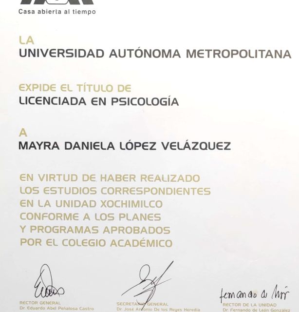 Ampliar imagen: certificate 1