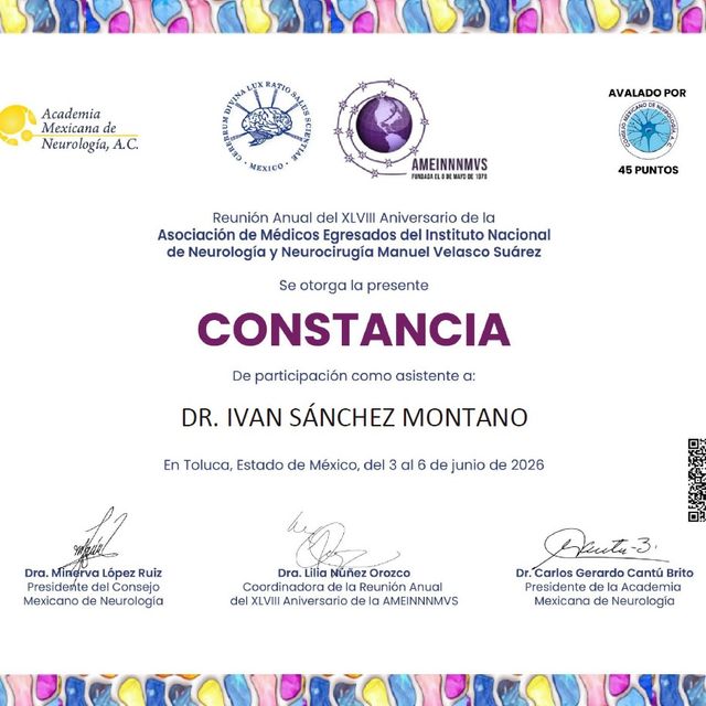 Ampliar imagen: certificate 13