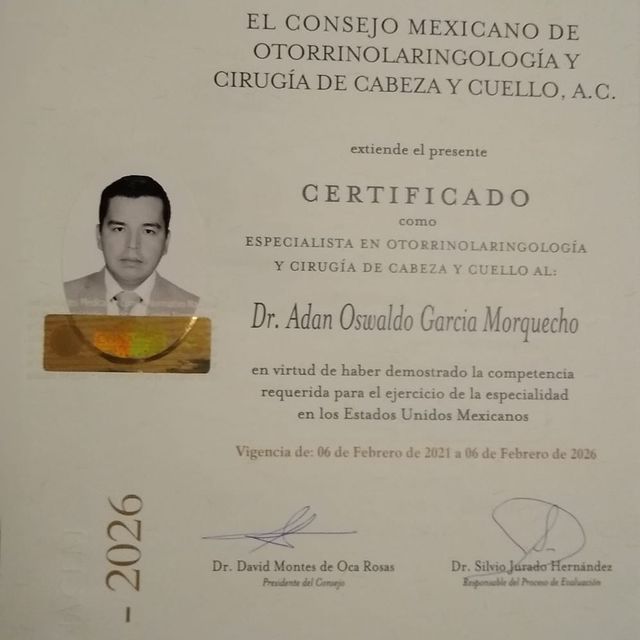 Ampliar imagen: certificate 4