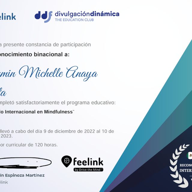 Ampliar imagen: certificate 1