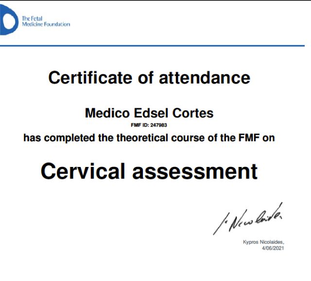 Ampliar imagen: certificate 3