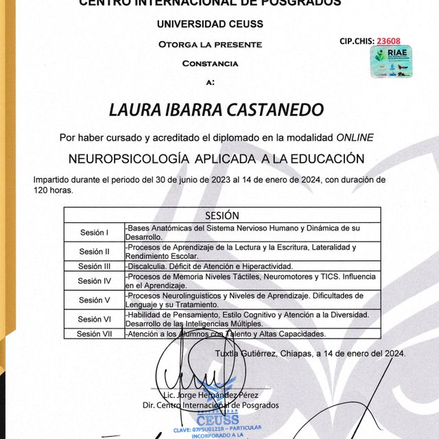 Ampliar imagen: certificate 3