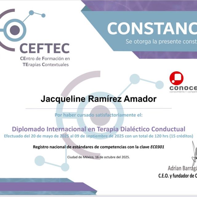 Ampliar imagen: certificate 2