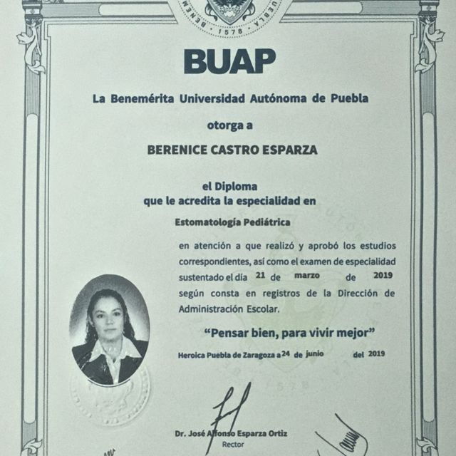 Ampliar imagen: certificate 7