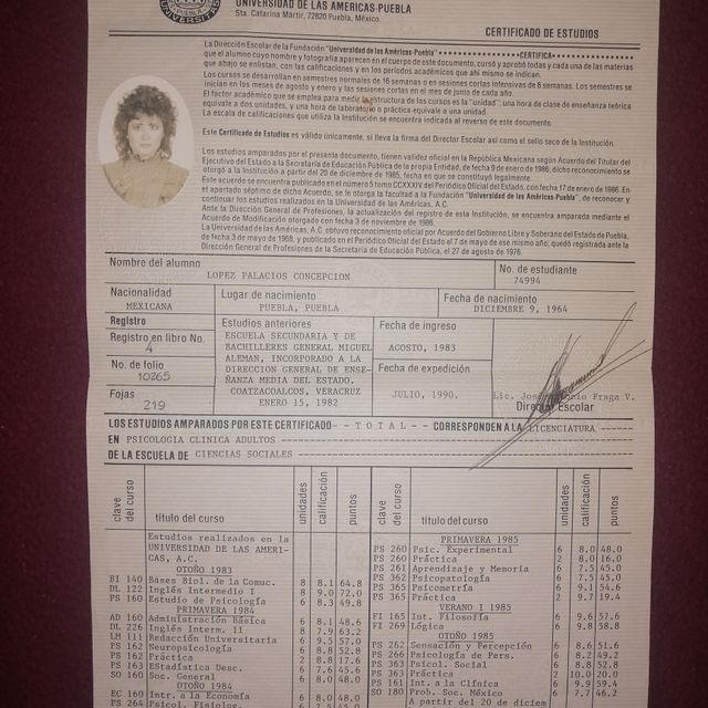 Ampliar imagen: certificate 5