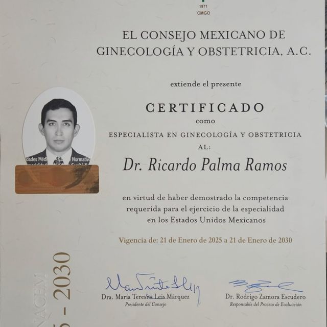 Ampliar imagen: certificate 2