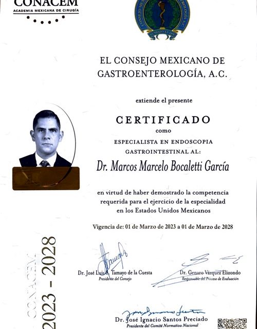 Ampliar imagen: certificate 3