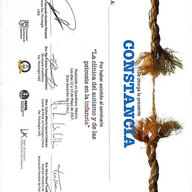 Ampliar imagen: certificate 11