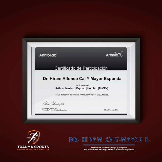 Ampliar imagen: certificate 7