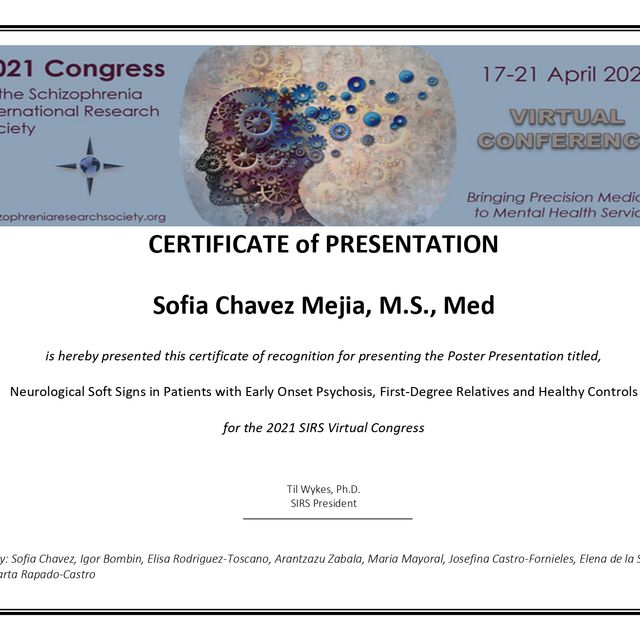 Ampliar imagen: certificate 3