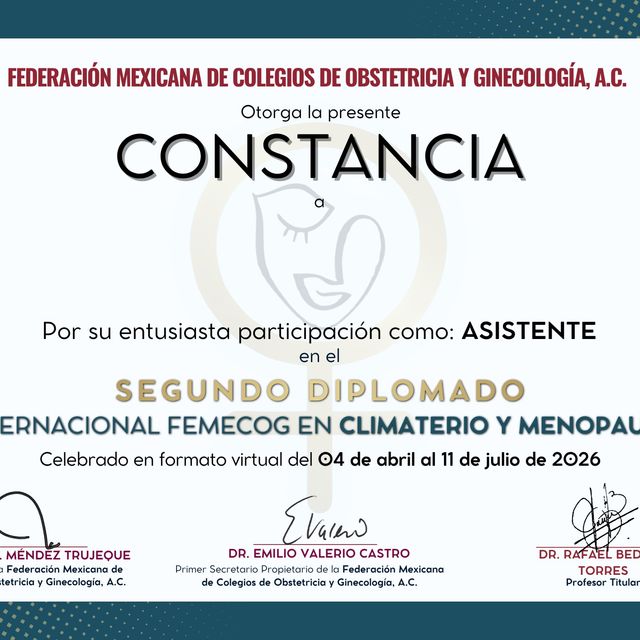 Ampliar imagen: certificate 5