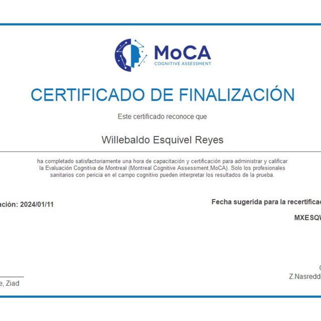 Ampliar imagen: certificate 1