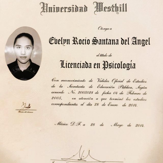 Ampliar imagen: certificate 1