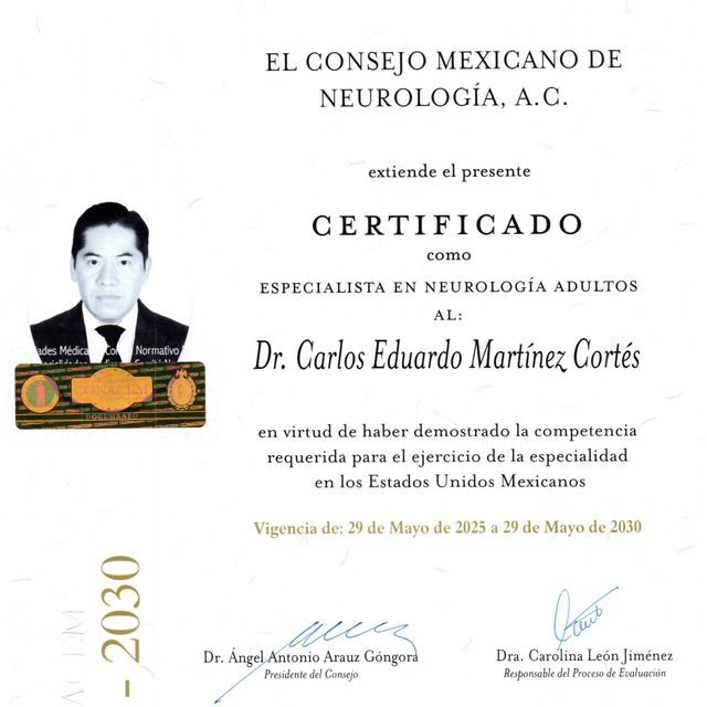 Ampliar imagen: certificate 5