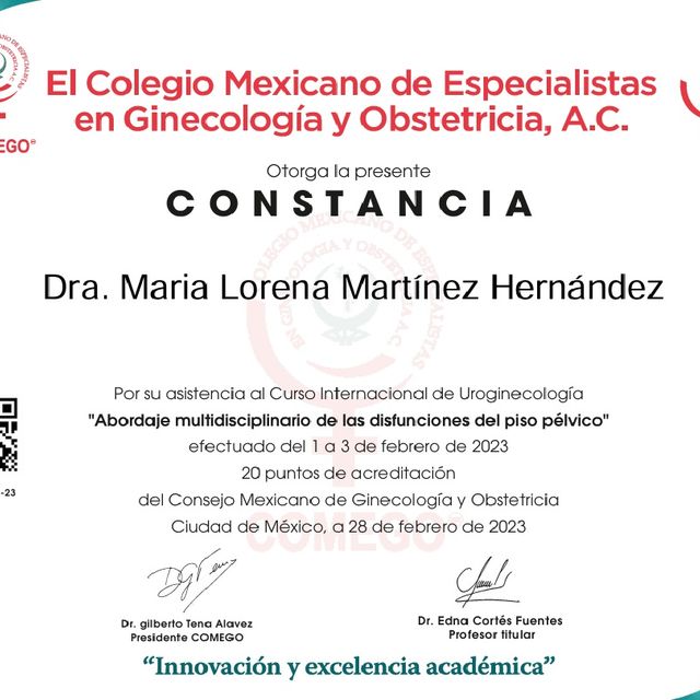 Ampliar imagen: certificate 14
