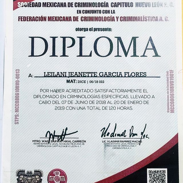 Ampliar imagen: certificate 1