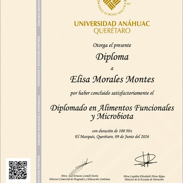 Ampliar imagen: certificate 5