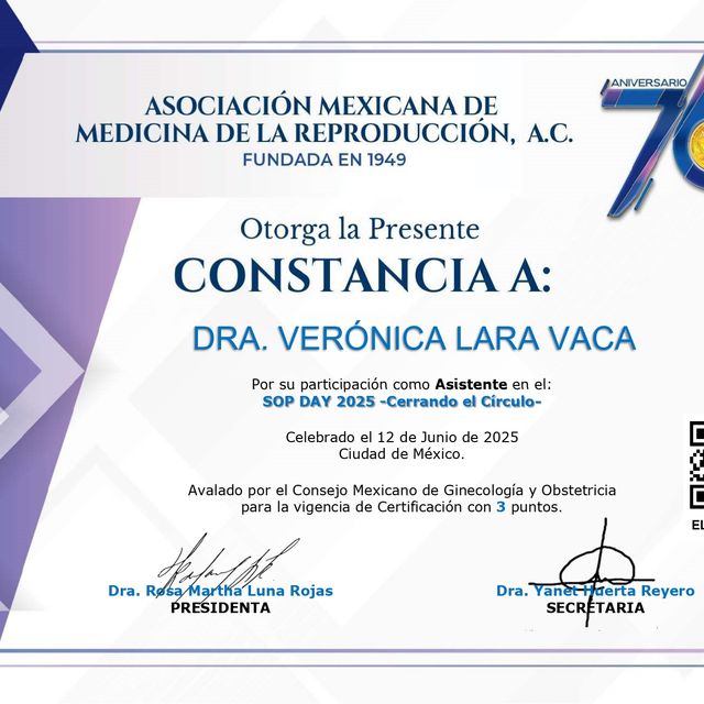 Ampliar imagen: certificate 33
