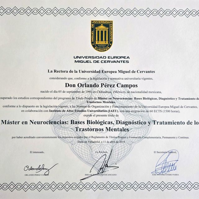 Ampliar imagen: certificate 2