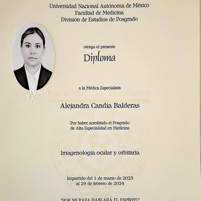 Ampliar imagen: certificate 3