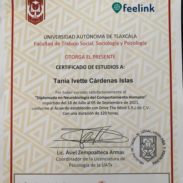 Ampliar imagen: certificate 1