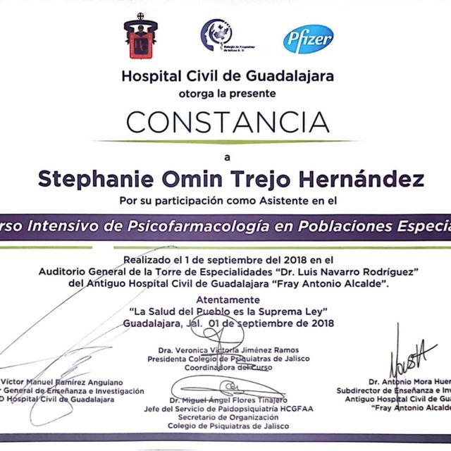 Ampliar imagen: certificate 2