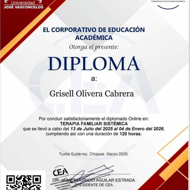 Ampliar imagen: certificate 3