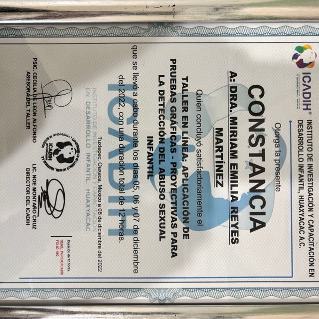 Ampliar imagen: certificate 29