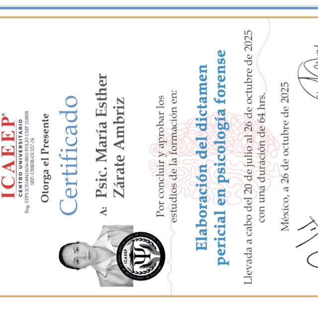 Ampliar imagen: certificate 10