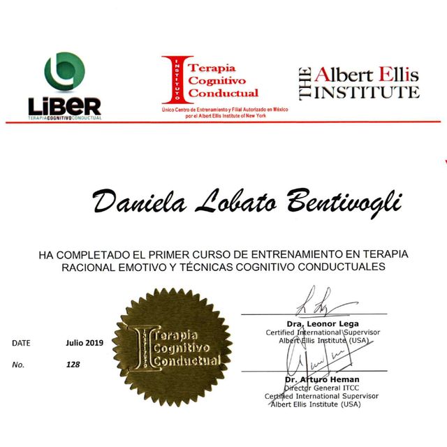 Ampliar imagen: certificate 3