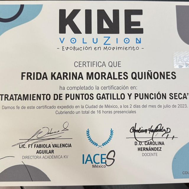 Ampliar imagen: certificate 3