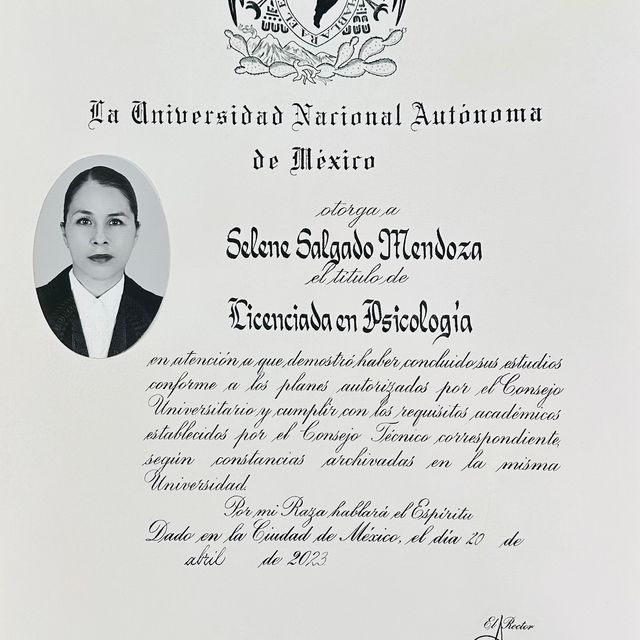 Ampliar imagen: certificate 1