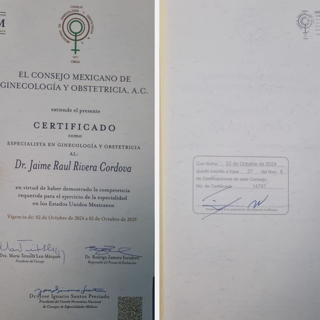 Ampliar imagen: certificate 4