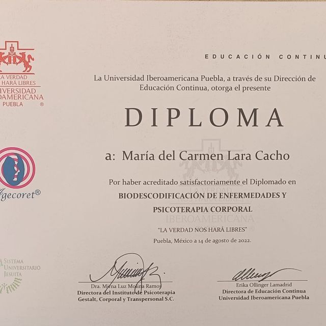 Ampliar imagen: certificate 5