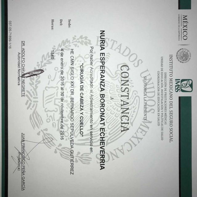 Ampliar imagen: certificate 2