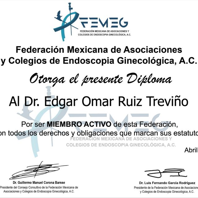 Ampliar imagen: certificate 14