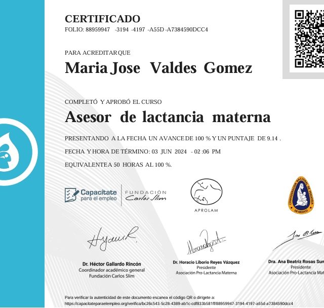 Ampliar imagen: certificate 3