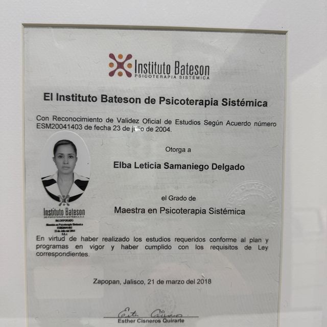 Ampliar imagen: certificate 1