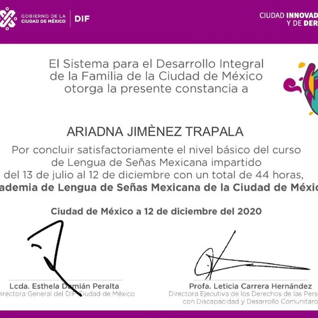 Ampliar imagen: certificate 9