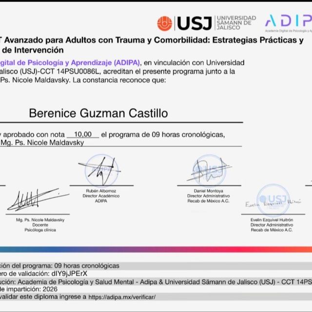Ampliar imagen: certificate 7