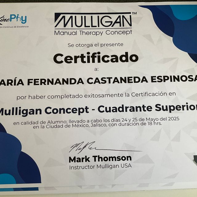 Ampliar imagen: certificate 1
