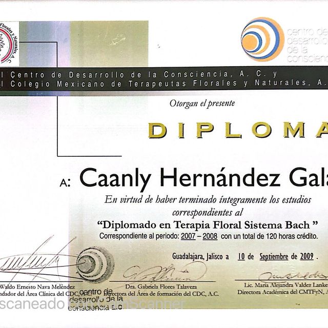 Ampliar imagen: certificate 2