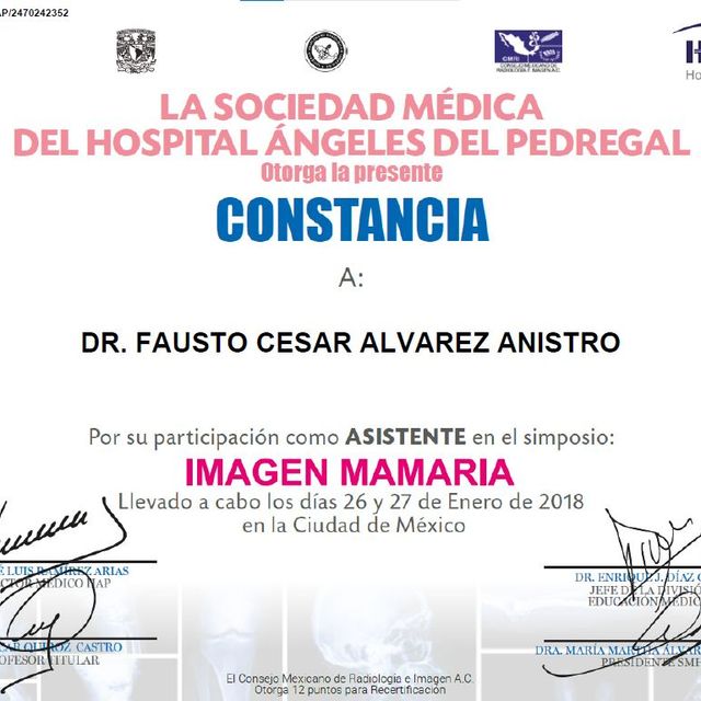 Ampliar imagen: certificate 9