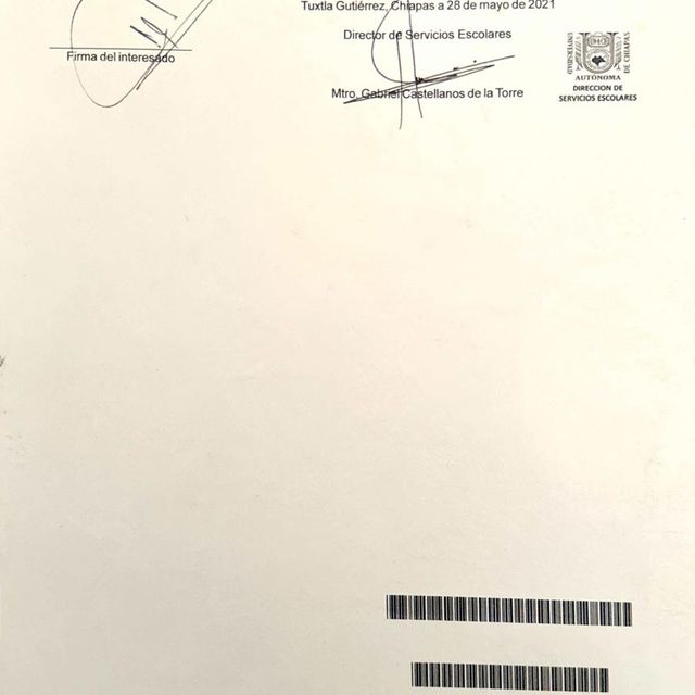 Ampliar imagen: certificate 5
