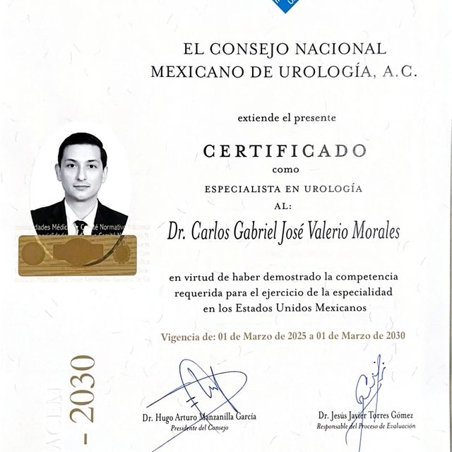 Ampliar imagen: certificate 3