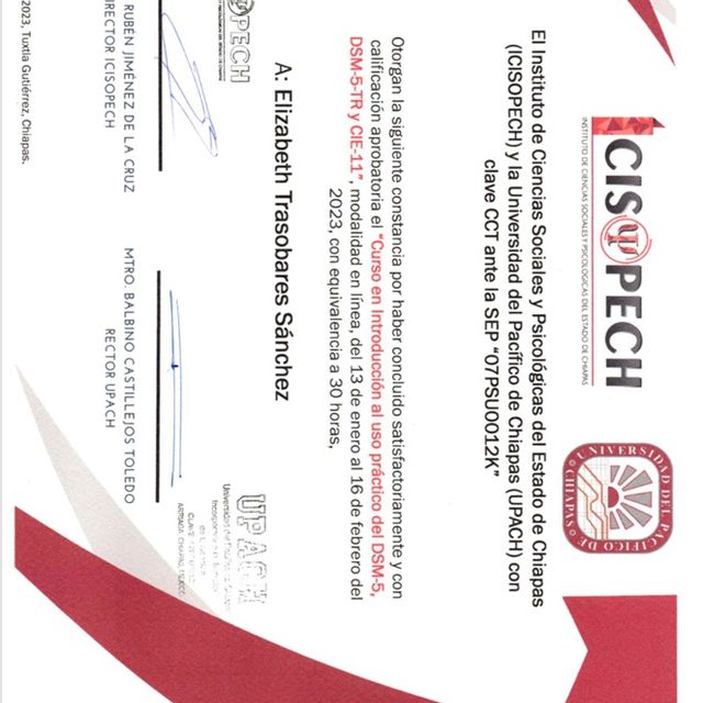 Ampliar imagen: certificate 9