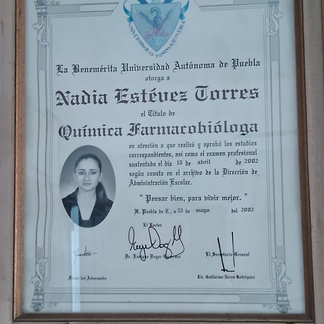 Ampliar imagen: certificate 1