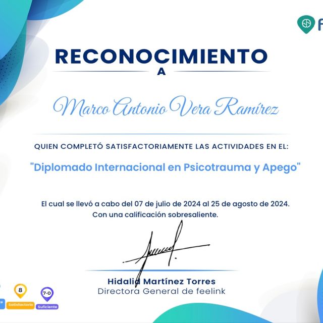 Ampliar imagen: certificate 8
